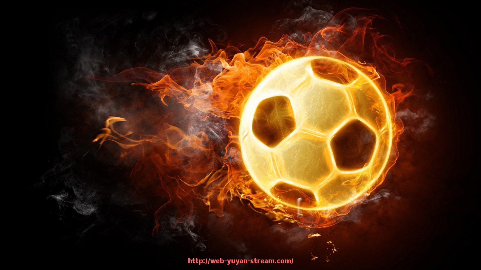 雨燕直播-健身器材公司员工的岗位工作感想分享