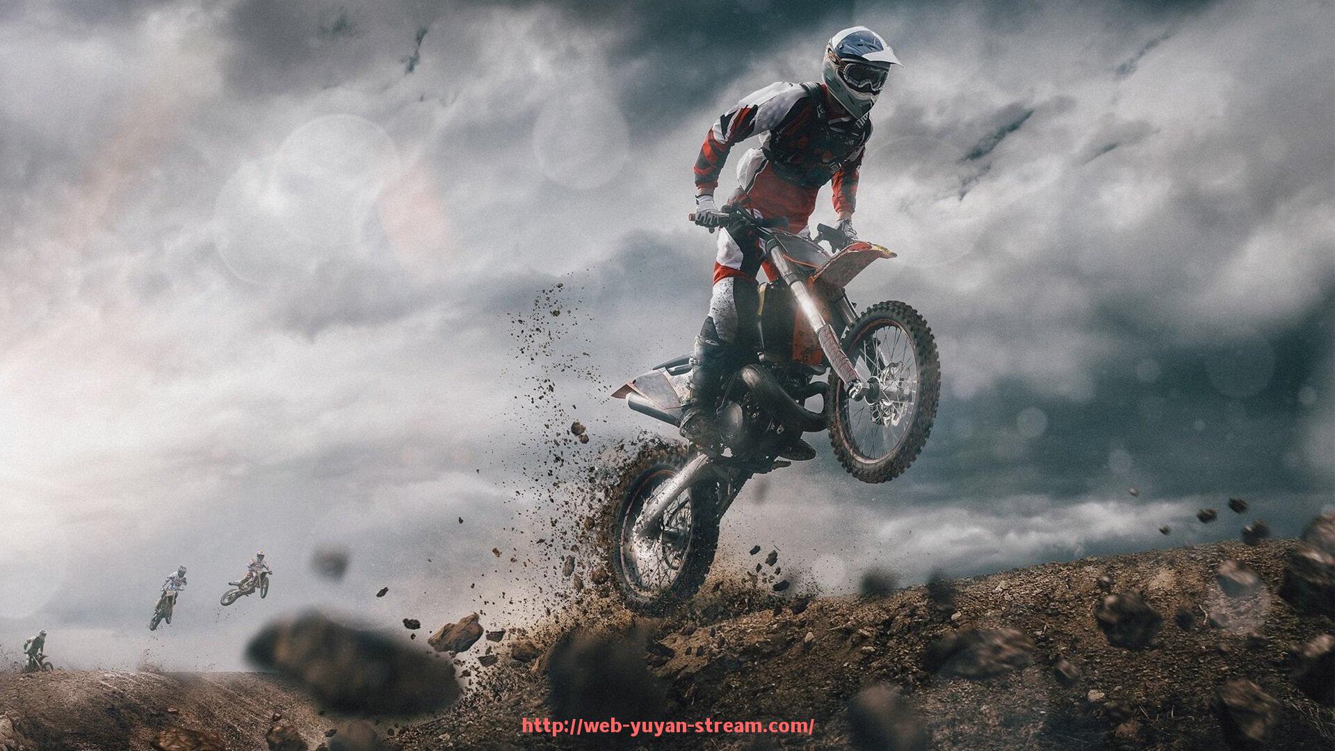 雨燕直播-健身器材公司员工的岗位工作感想分享