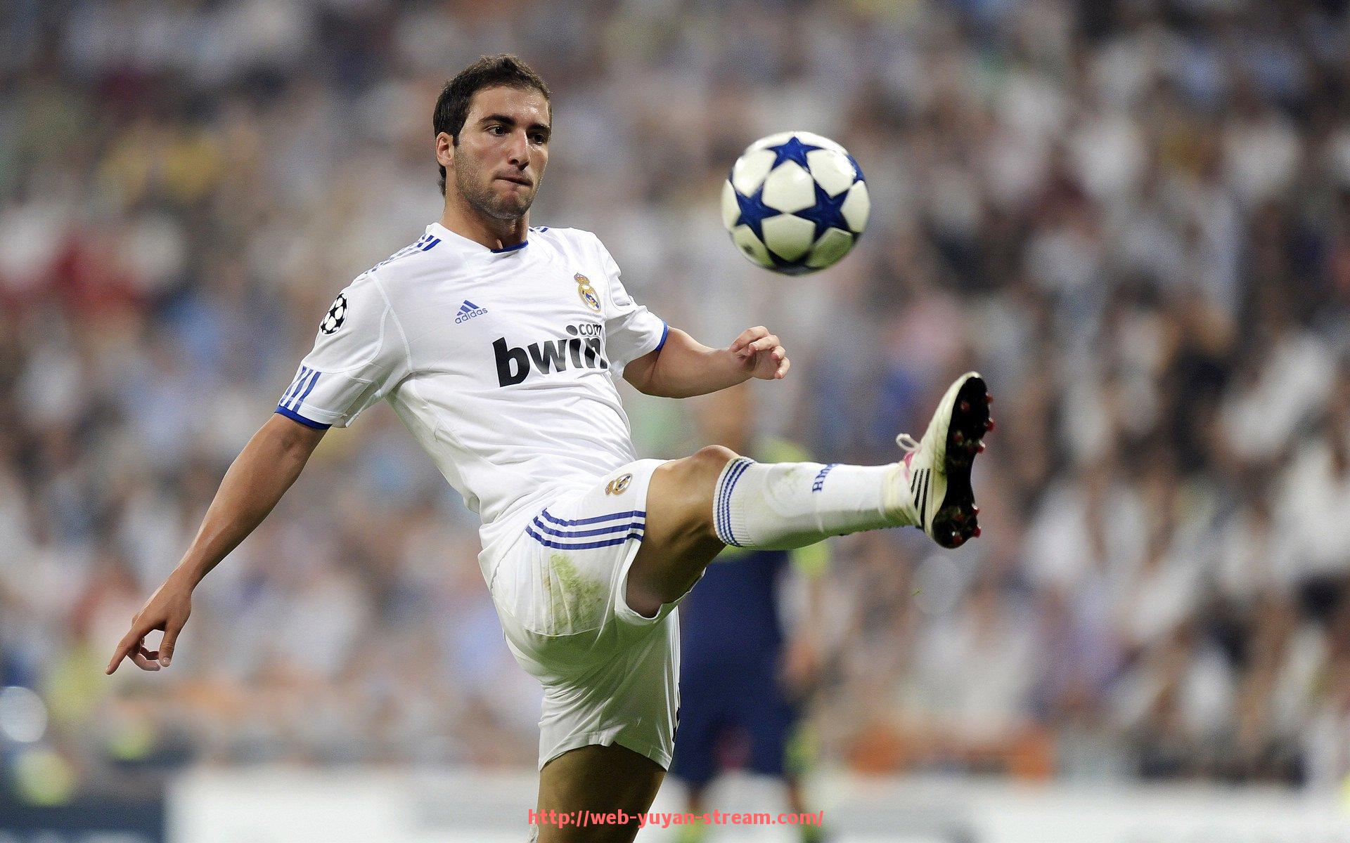 雨燕直播-健身器材带来的运动好处及其对健康管理的积极意义