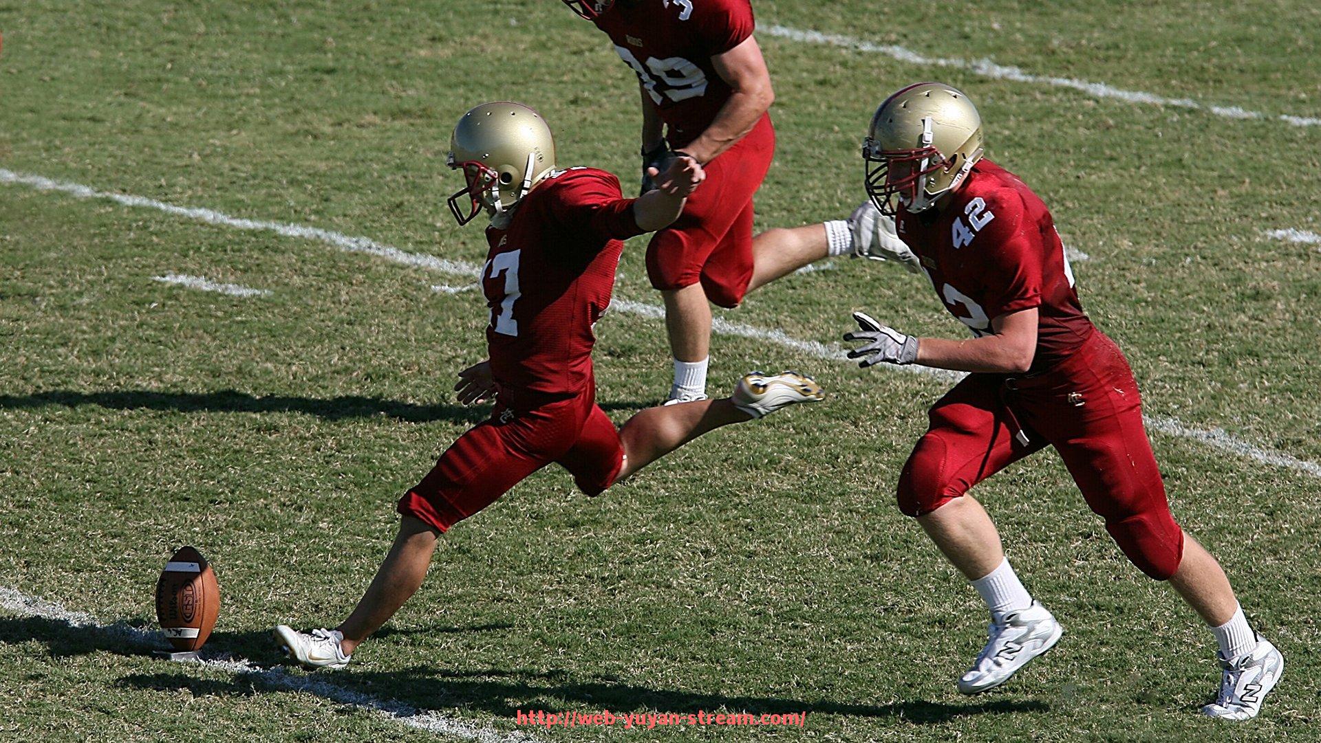 雨燕直播-攀爬杠健身器材使用技巧与全身锻炼效果评估
