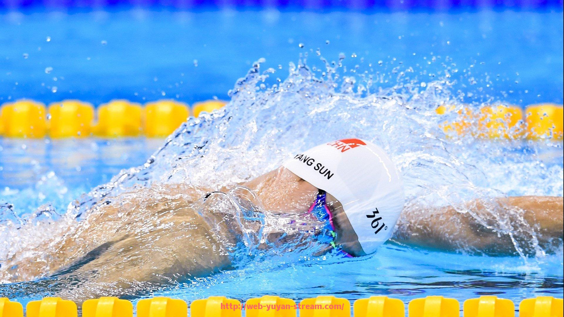 雨燕直播-构建科学高效的世俱杯商业合作合同管理机制