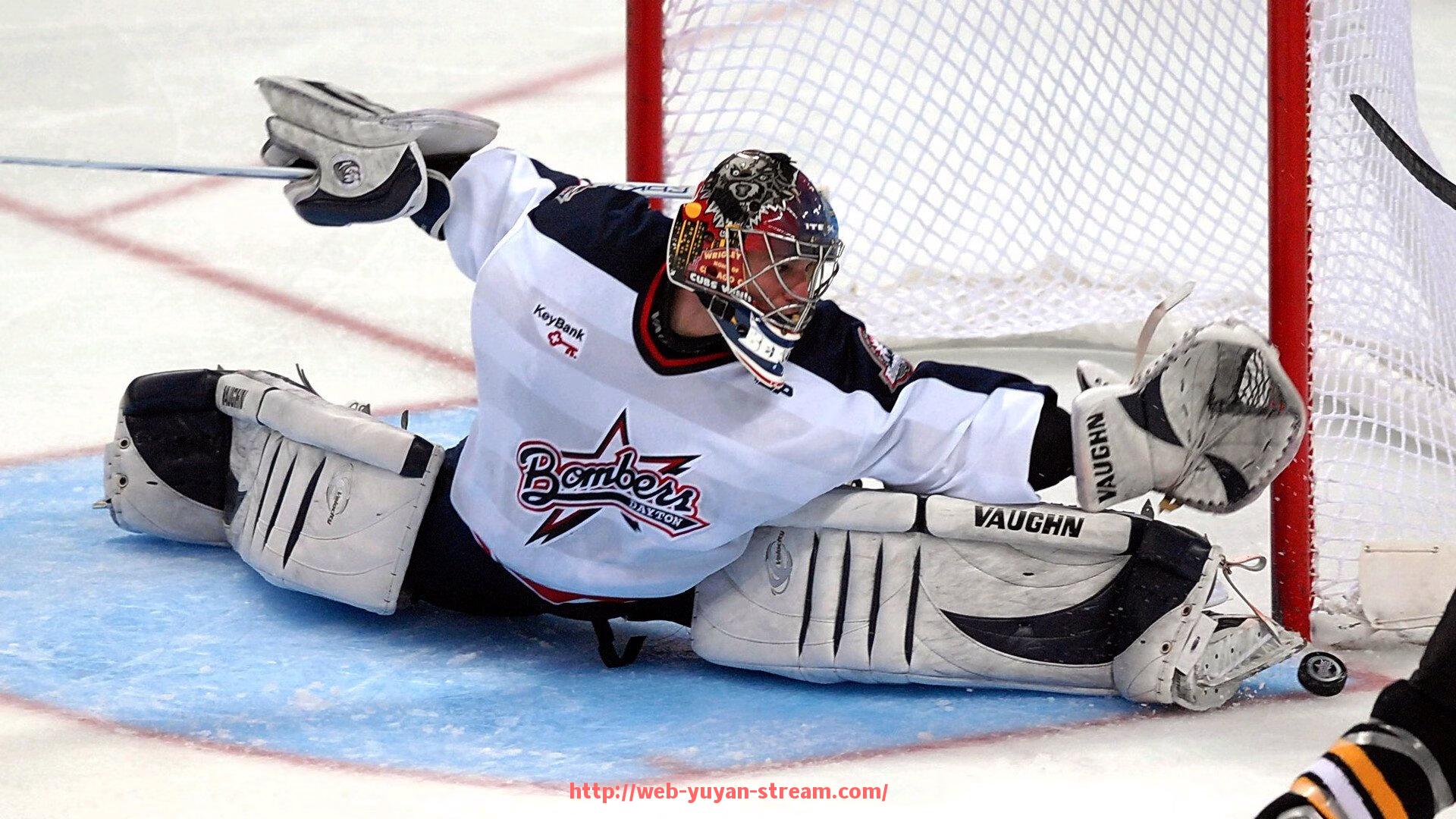 雨燕直播-天津泰达队2005赛季中超联赛成绩回顾